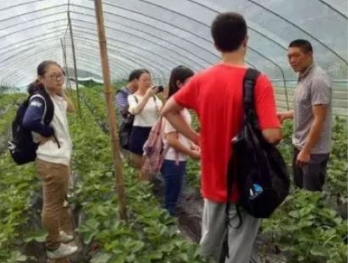 1510294292411056210.jpg 以善济美(铜奖)_meitu_2.jpg